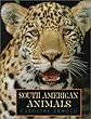 South American animals