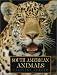 South American Animals