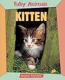 Kitten