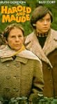 Harold & Maude