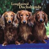 Longhaired Dachshunds 2007 Calendar