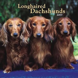 【クリックで詳細表示】Longhaired Dachshunds 2007 Calendar [カレンダー]