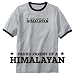 RINGER T-SHIRT HEATHER GRAY