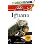 Iguana (Happy Healthy Pet)