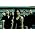 Thumbnail image of Lacuna Coil