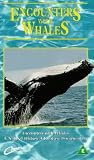 Review Creation Entertainment Ltd.  / Blue Wilderness - Encounters With Whales