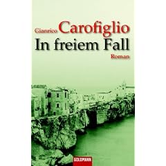 In freiem Fall (Gebundene Ausgabe)