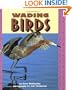 Wading Birds (Pull Ahead Books)