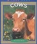 Cows