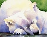 Samoyed Dog Art Print Signed by Artist DJ Rogers