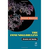 the immunoglobulins structure and function