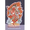 Flammen der Verwandlung: Eine Einf�hrung in die tantrisch-buddhistische Bilderwelt