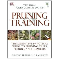 RHS Pruning and Training