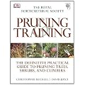 RHS Pruning and Training