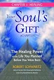 Your Soul's Gift eChapters - Chapter 1: Healing: The Healing Power of the Life You Planned Before You Were Born