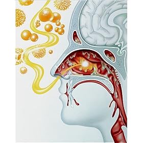 Photographic Prints of Artwork of runny nose in hay fever from Science Photo Library
