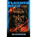 Flammenmeer: Shadowrun-Roman