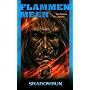 Flammenmeer: Shadowrun-Roman