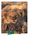 Baby Animals II (Zoobooks Series)