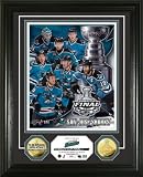 San Jose Sharks 2011 Stanley Cup Final 24KT Gold Coin Photo Mint