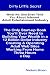 Dirty Little Secret: What No One Ever Tells You About Internet Adult Entertainment Industry