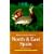 Where to Watch Birds in North and East Spain (Where to Watch Birds)