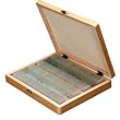AmScope 100 Home School Biology Prepared Microscope Slides (Set E)