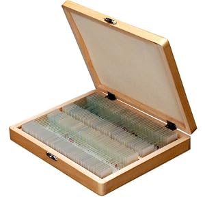 AmScope 100 Home School Biology Prepared Microscope Slides (Set E)