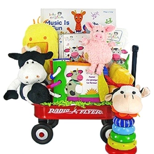 Fun on the Farm Educational New Baby Gift Basket – Great Shower or First Christmas Holiday Gift Idea for Newborns