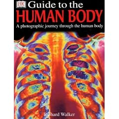 DK Guide to the Human Body