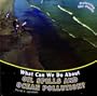 What Can We Do about Oil Spills and Ocean Pollution? (Protecting Our Planet)