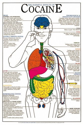 Harmful Effects of Cocaine Chart