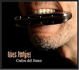 Blues Mongrel