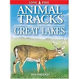 animal tracks of the great lakes animal tracks guides