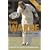 Shane Warne: My Illustrated Career