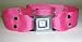 Recycled Fashion Hot Pink Seatbelt Belt With Real Working Seatbelt Buckle!