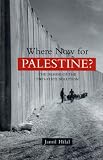 Where Now for Palestine?: The Demise of the Two State Solution