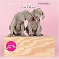 William Wegman Puppies 2010 Calendar (Package)