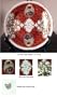 Persian Qajar Dynasty Commemorative Plate Hand-Painted by Roozbeh China