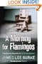 Morning for Flamingos
