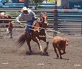 'Calf Roping' Wall Decal - 24"W x 20"H Removable Graphic