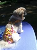 Joybies Sunshine Yellow Aloha Piddle Pants(tm) for XXXX Large Female Dog (Measuring 32-34 From Collar to Base of Tail)
