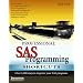 Professional SAS Programming Shortcuts: Over 1,000 Ways to Improve Your SAS Programs