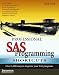 Professional SAS Programming Shortcuts: Over 1,000 Ways to Improve Your SAS Programs