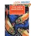 The New Maiolica: Contemporary Approaches to Color and Technique