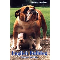 English Bulldog