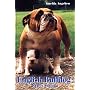 English Bulldog