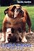 English Bulldog