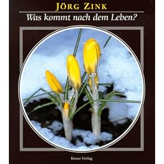 Was kommt nach dem Leben?