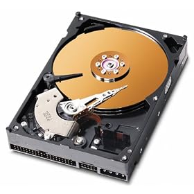Western Digital 120GB 7200RPM Hard Drive 8MB Cache